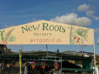 Plants and trees at New Roots Nursery Paphos