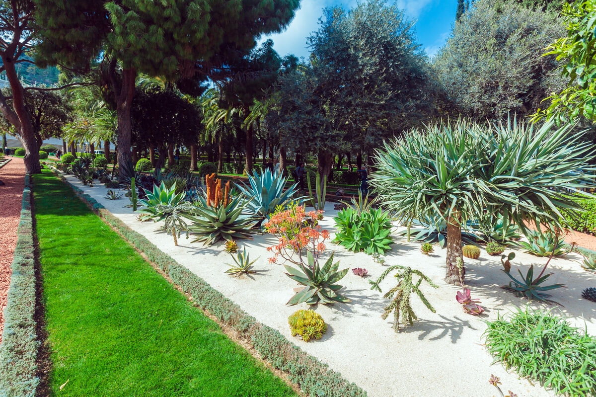 How to Design a Drought-Resistant Garden in Cyprus
