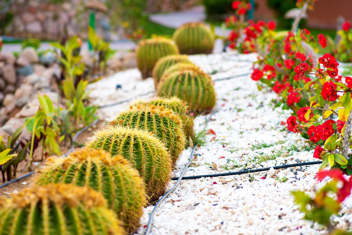 The Complete Guide to Garden Irrigation Systems in Cyprus