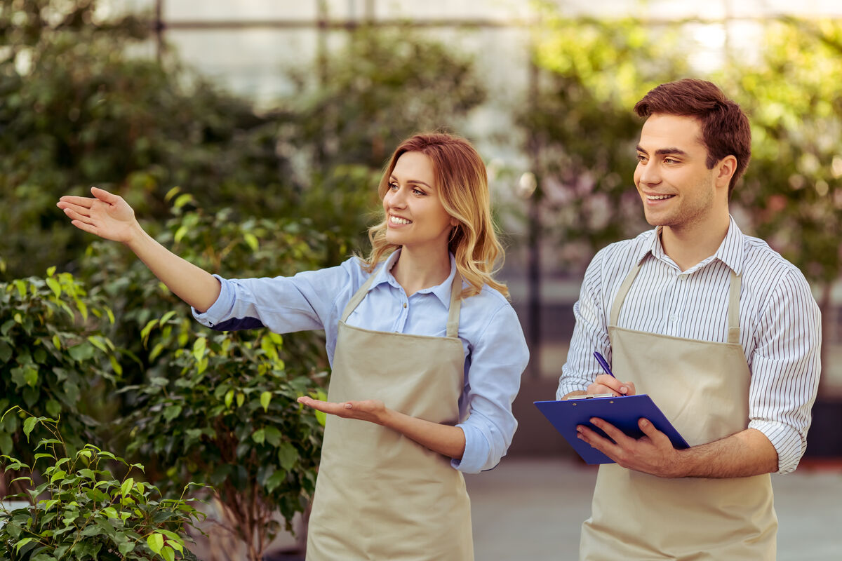 How Much Does Professional Landscaping Cost in Cyprus?