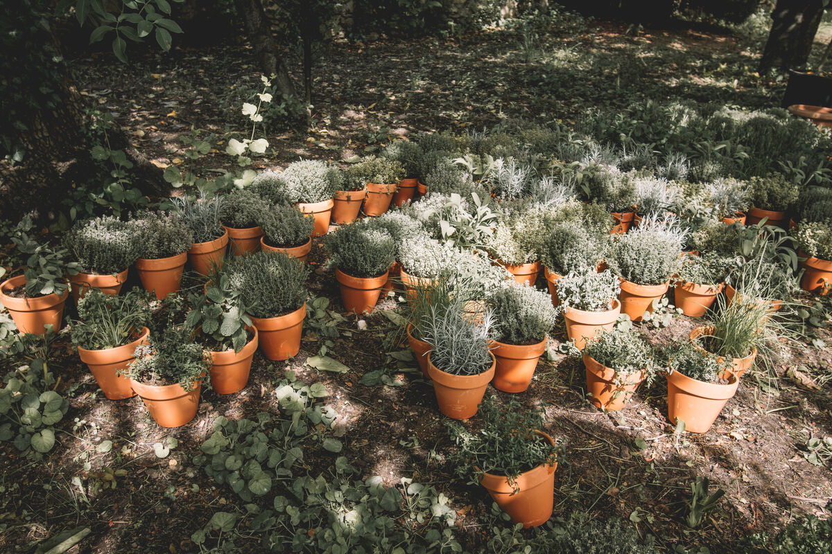 Mediterranean Garden Style: Bringing the Villa Dream to Life