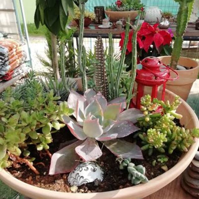 Creative gift displays at New Roots Nursery