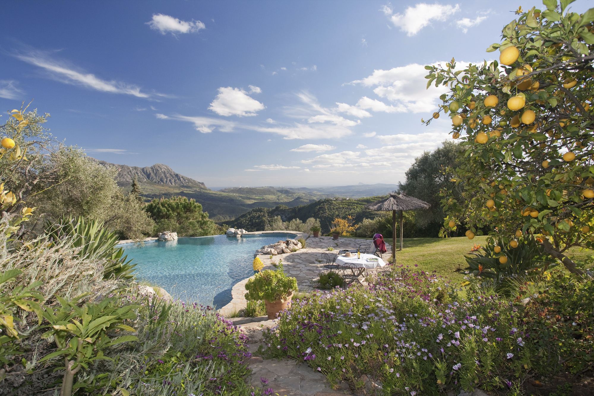 Mediterranean garden in Cyprus sunshine