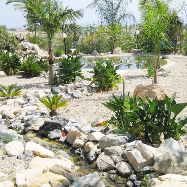 Beautiful garden design in Coral Bay Paphos by New Roots Nursery