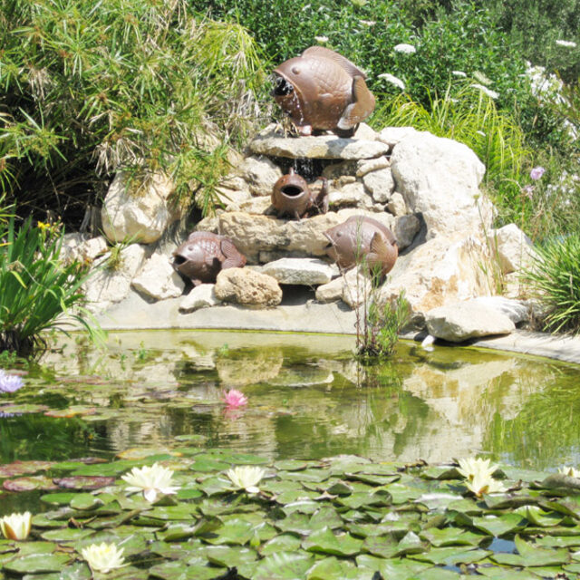 Garden pond landscaping Paphos