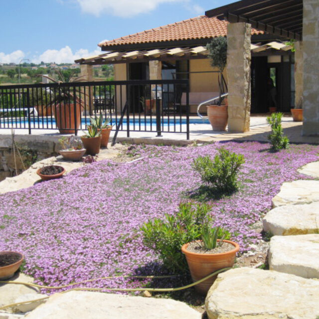 Dry stone wall garden landscaping Cyprus