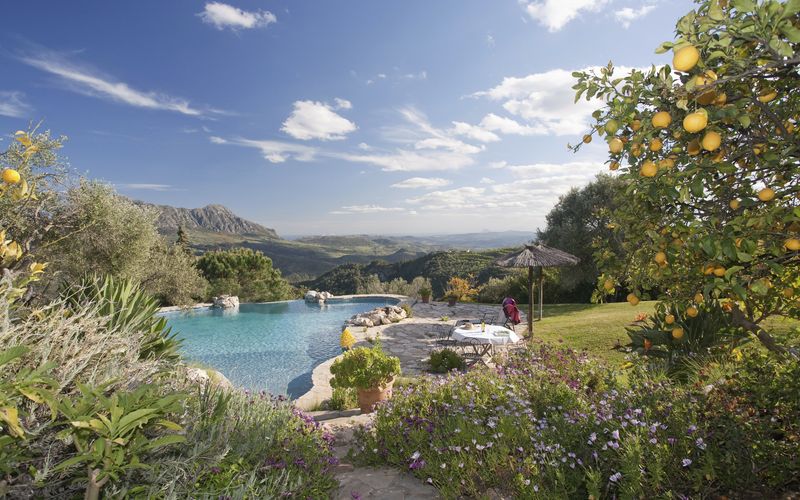 Luxury Mediterranean villa with lush garden and pool