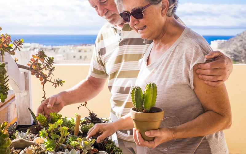 Couple gardening on Mediterranean terrace